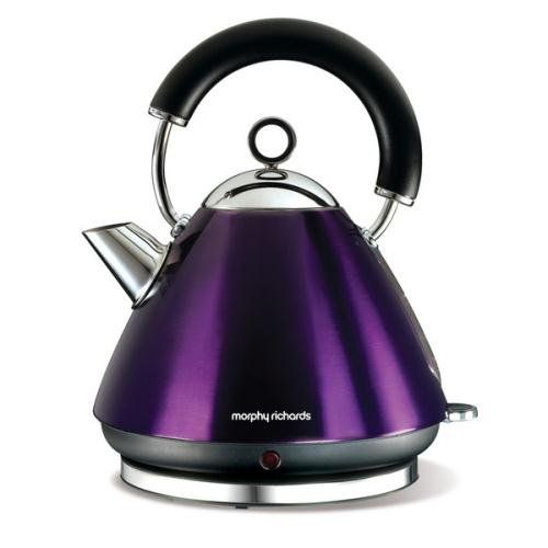 Pack of 2 Morphy Richards 43769 Kettle Morphy Richards 43769 Replacement