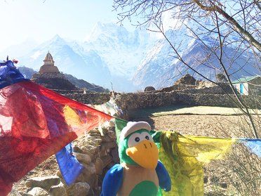 Tour am Mount Everest mit dem Flughafen düsseldorf