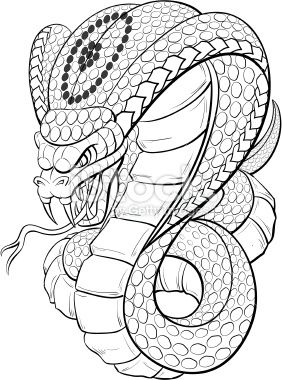 Pin by Arathy Nannu on apex Cobra tattoo Snake coloring pages Snake