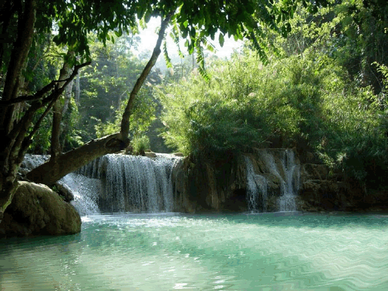 15 Nature gif ideas in 2021 | nature gif, nature, gif