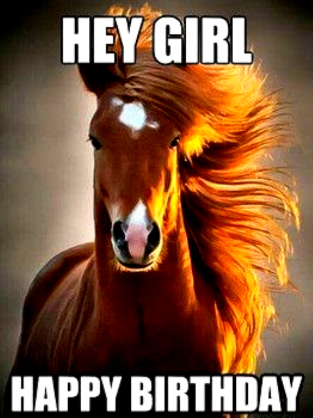 Looking For For Inspiration For Happy Birthday Best Friend Navigate Here For Very Best Birth In Happy Birthday Horse Happy Birthday For Her Cute Birthday Messages Looking For For Inspiration For Happy Birthday Best Friend Navigate Here For Very Best Birth In Happy Birthday Horse Happy Birthday For Her Cute Birthday Messages