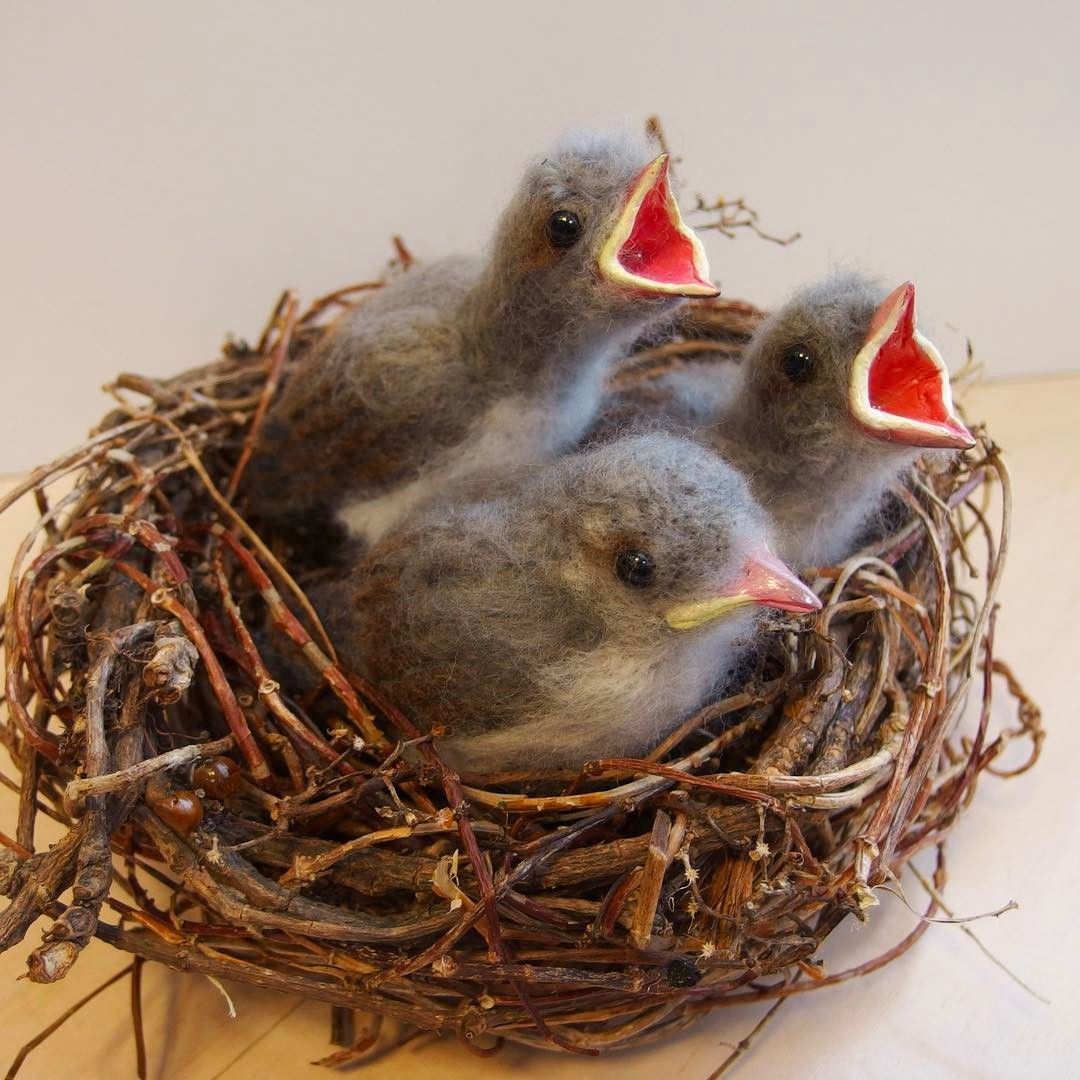 Needlefelted Baby Brown Eared Bulbul One More Baby Hatched Out I Haven T Made Their Mommy Yet 羊毛フェルトの Felt Birds Needle Felting Projects Needle Felting Diy Needlefelted Baby Brown Eared Bulbul One More Baby Hatched Out I Haven T Made Their Mommy Yet 羊毛フェルトの Felt Birds Needle Felting Projects Needle Felting Diy