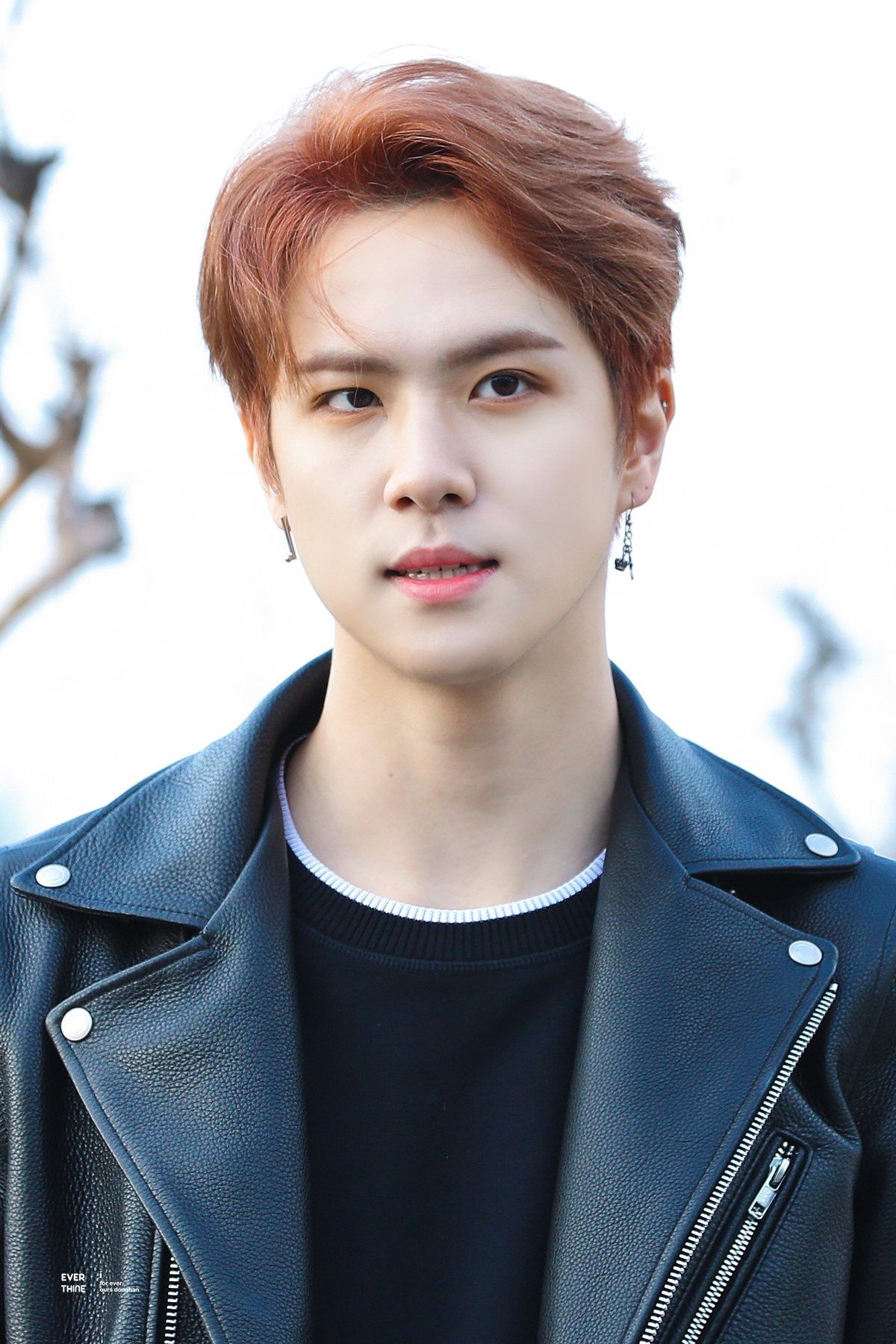 kim donghan kim dong kwon hyunbin kim kim donghan kim dong kwon hyunbin kim