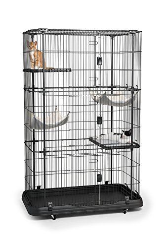 Amazon Com Midwest Cat Playpen Cat Cage Includes 3 Adjustable Resting Platforms Removable Leak Proof Pan Easy 2 Do Cat Playpen Cat Cages Cat Cages Indoor
