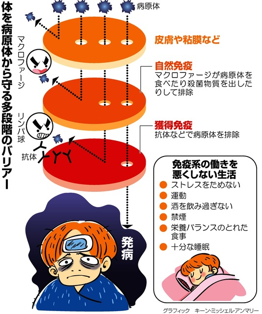 ボード Esse のピン