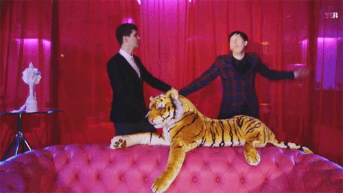 5c3e105f3364ac9cf27028958b8fd06b.gif