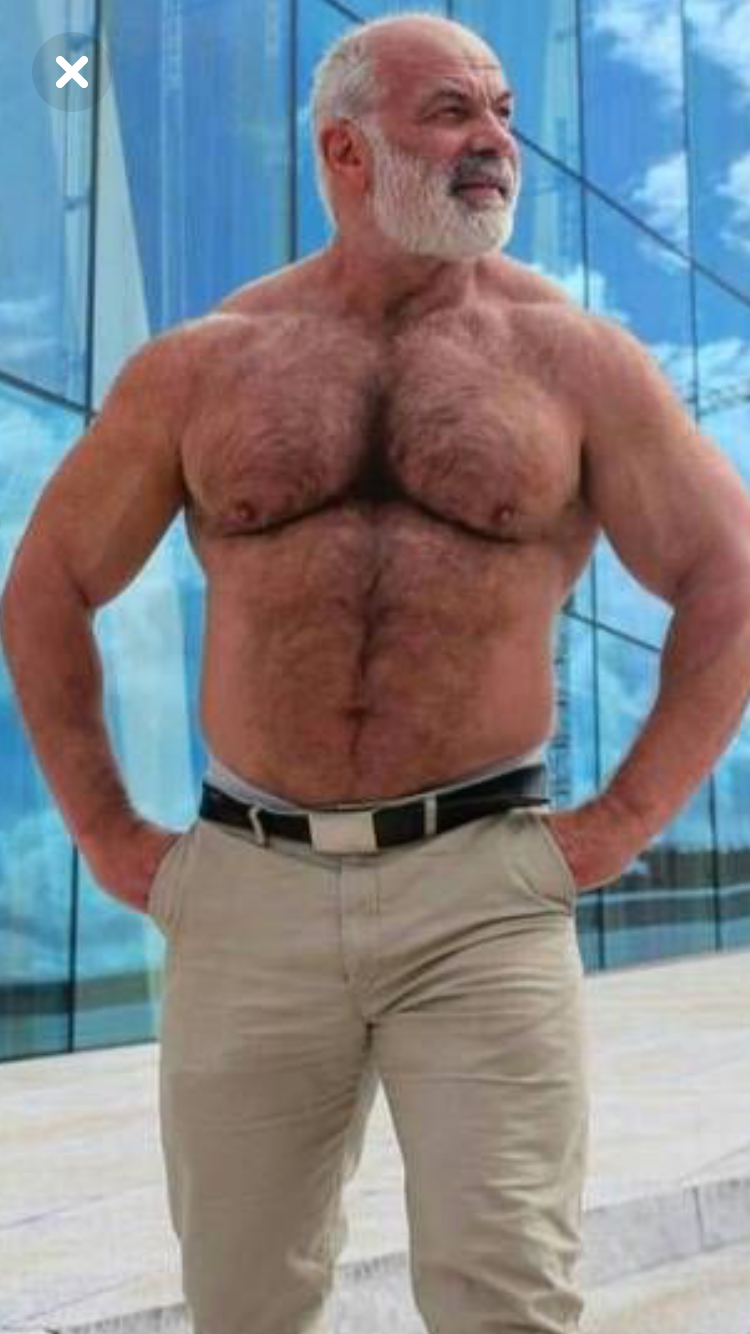 gay bear Older gay bear Older