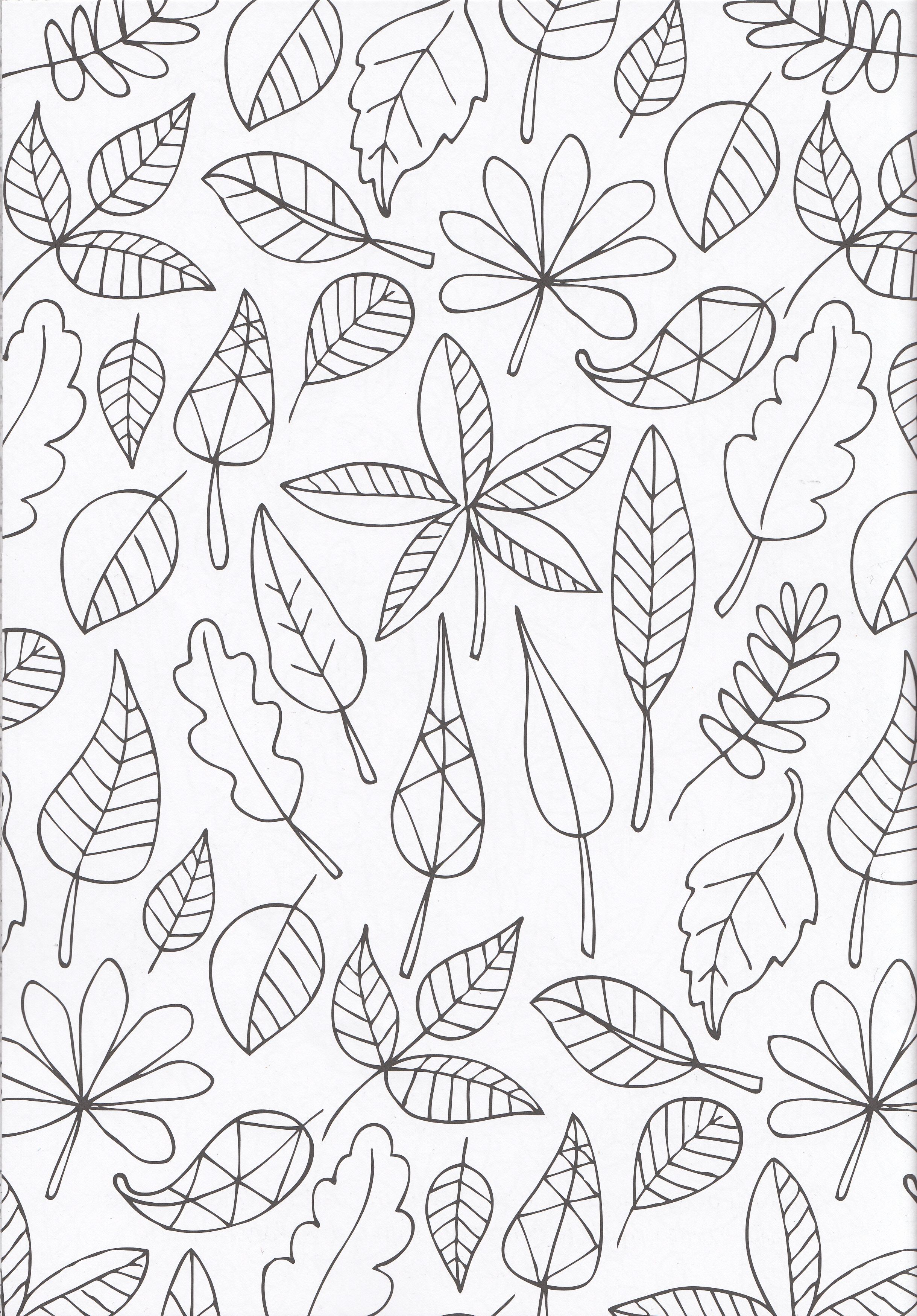 Download Bladeren | Paper embroidery, Embroidery template, Coloring pages