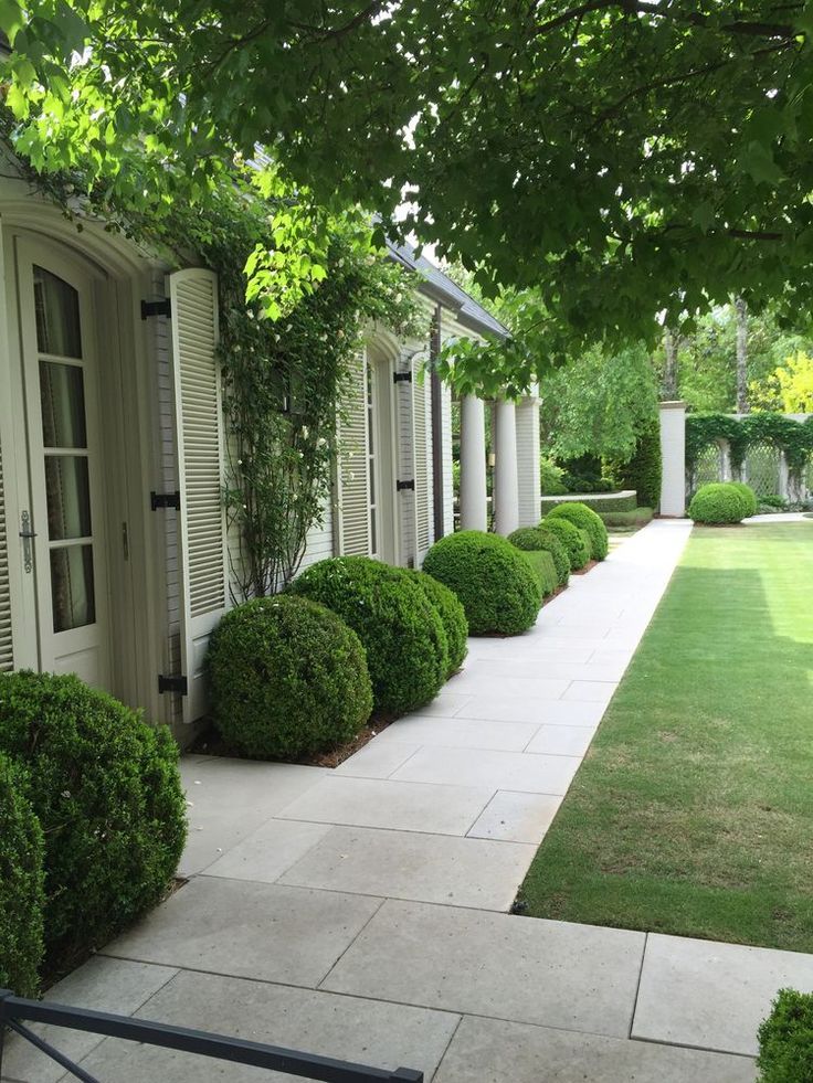 Gartentopiary geht nie aus der Mode. Topiary schafft Struktur, Formalität und ... - Gartengestatung 2019
