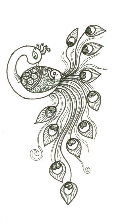 Pinterest Peacock Drawing Pinterest Peacock Drawing