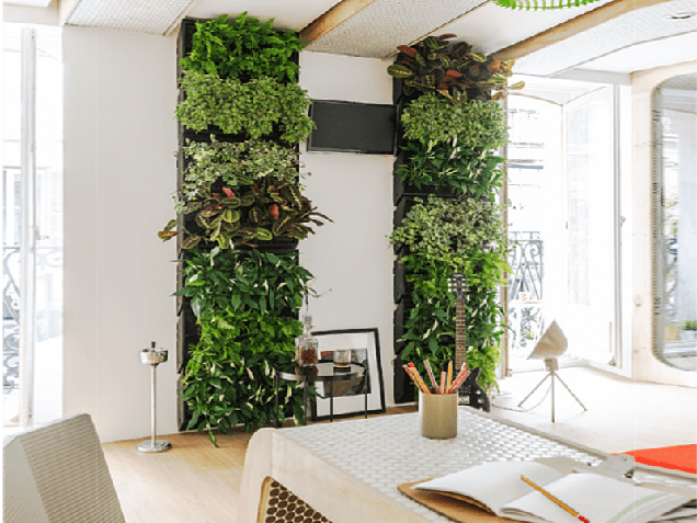 21 espectaculares jardines verticales