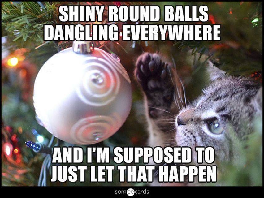 Today Funny Hristmas Pics Am Friday December Pst