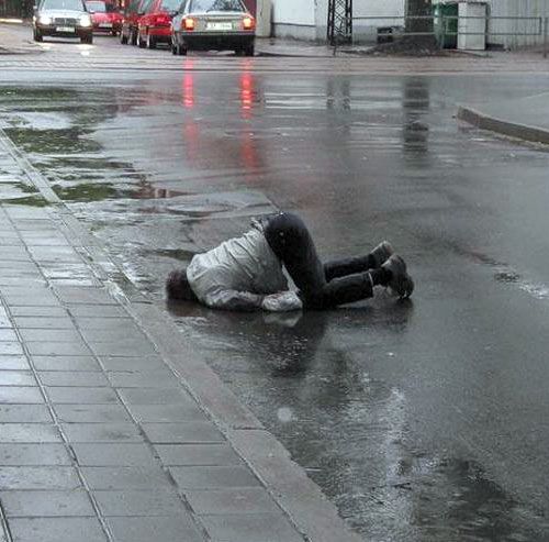 Pin On Royalty Free Funny Images