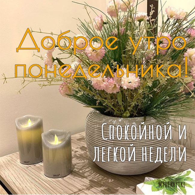 Фото С Добрым Утром Понедельника Прикольные Фото С Добрым Утром Понедельника Прикольные