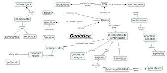 Mapa Conceptual De Adn Y Arn Buscar Con Google Adn Y Arn Adn Mapa Conceptual