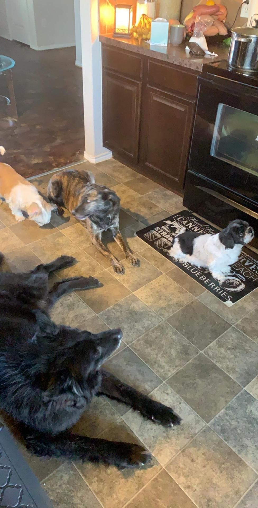This Is What My Kitchen Looks Like Everyday I Love It Wanna Get