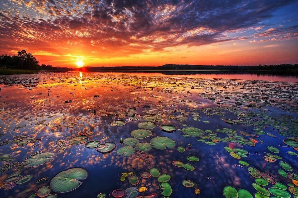 Michael D Kol On Twitter Earth Pictures Sunset Beautiful Sunset Michael D Kol On Twitter Earth Pictures Sunset Beautiful Sunset