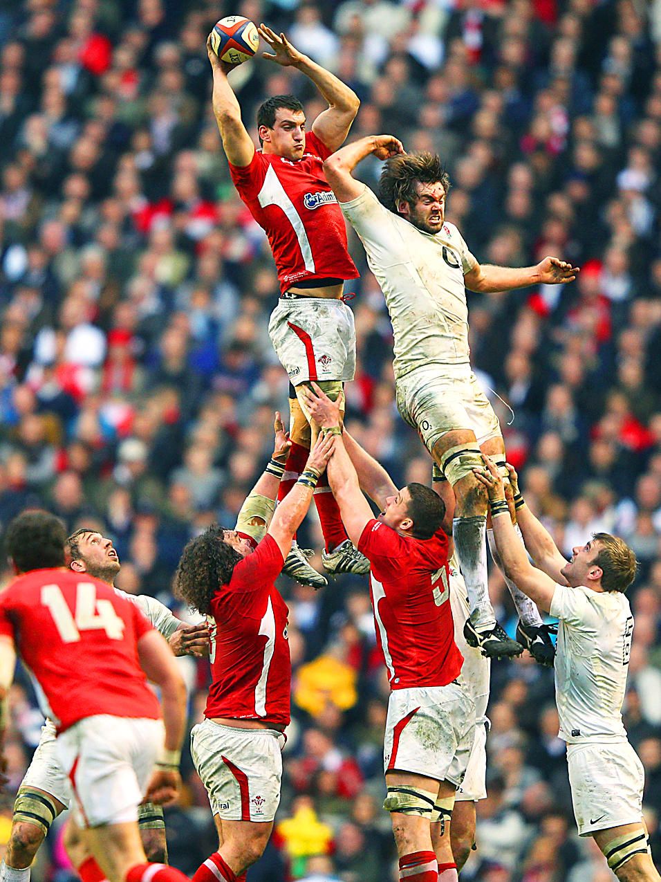 Single welsh rugby players