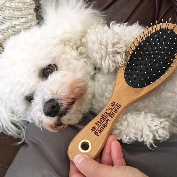 Dog Cat Grooming Brush Personalised With The Pets Name Engraved