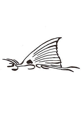 Download Chez Whimsy Hand Drawn Redfish Tail Free Svg How To Draw Hands Red Fish Free Svg
