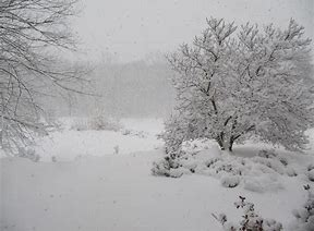 images Heavy Snow Storm Night pinterest