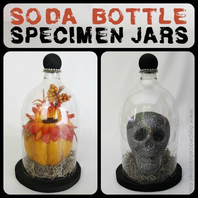 Specimen Jar Halloween Decor | Our Peaceful Planet | Soda bottle crafts, Fun halloween treats ...