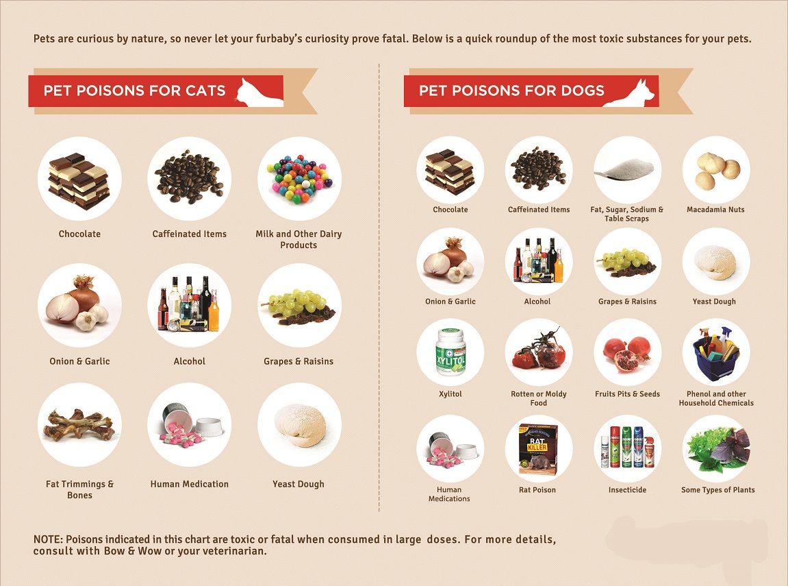 Please Click On The Image For A Complete List Of Poisons And Number To Please Click On The Image For A Complete List Of Poisons And Number To