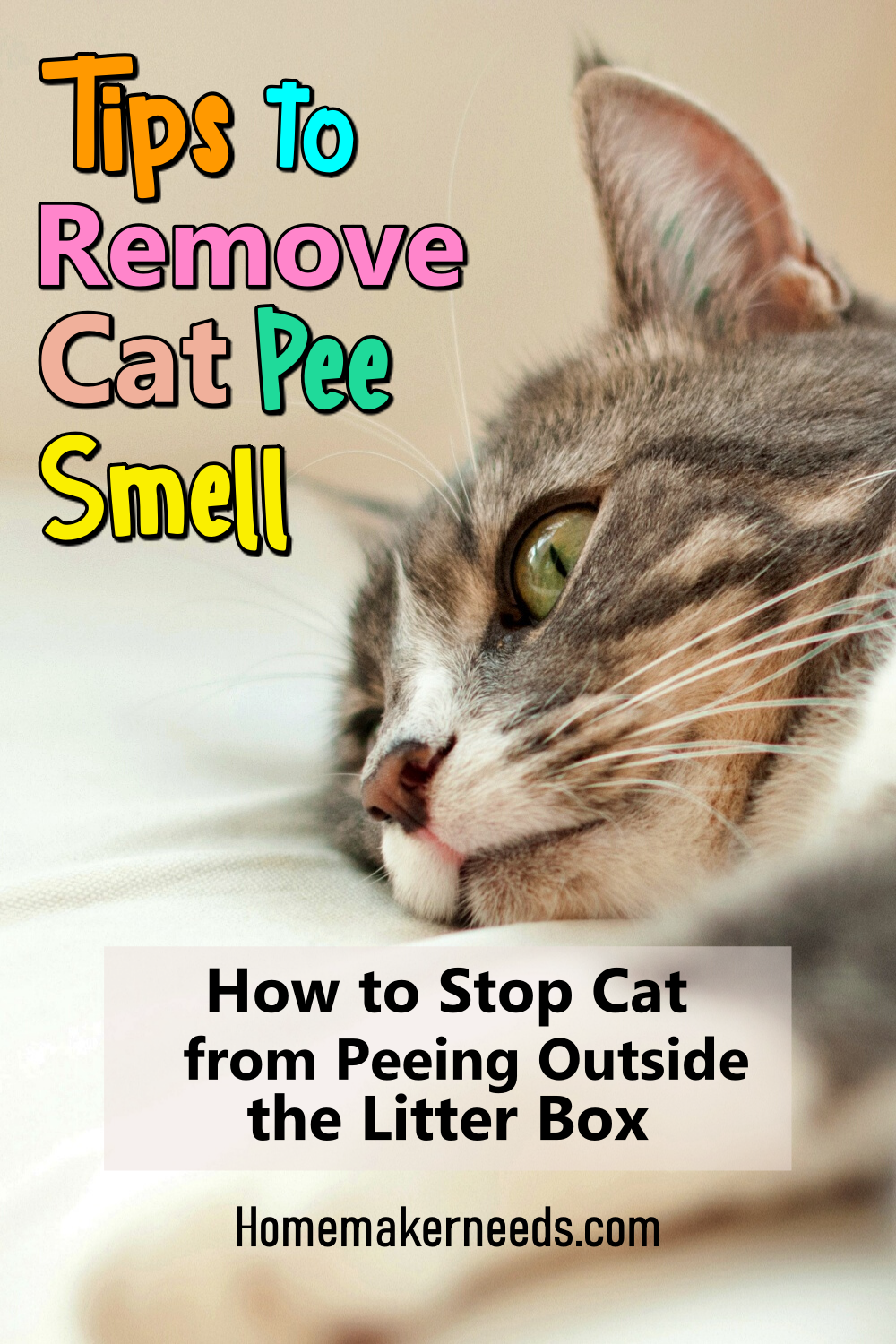 Cheap How to get cat urine smell off walls with X rocker