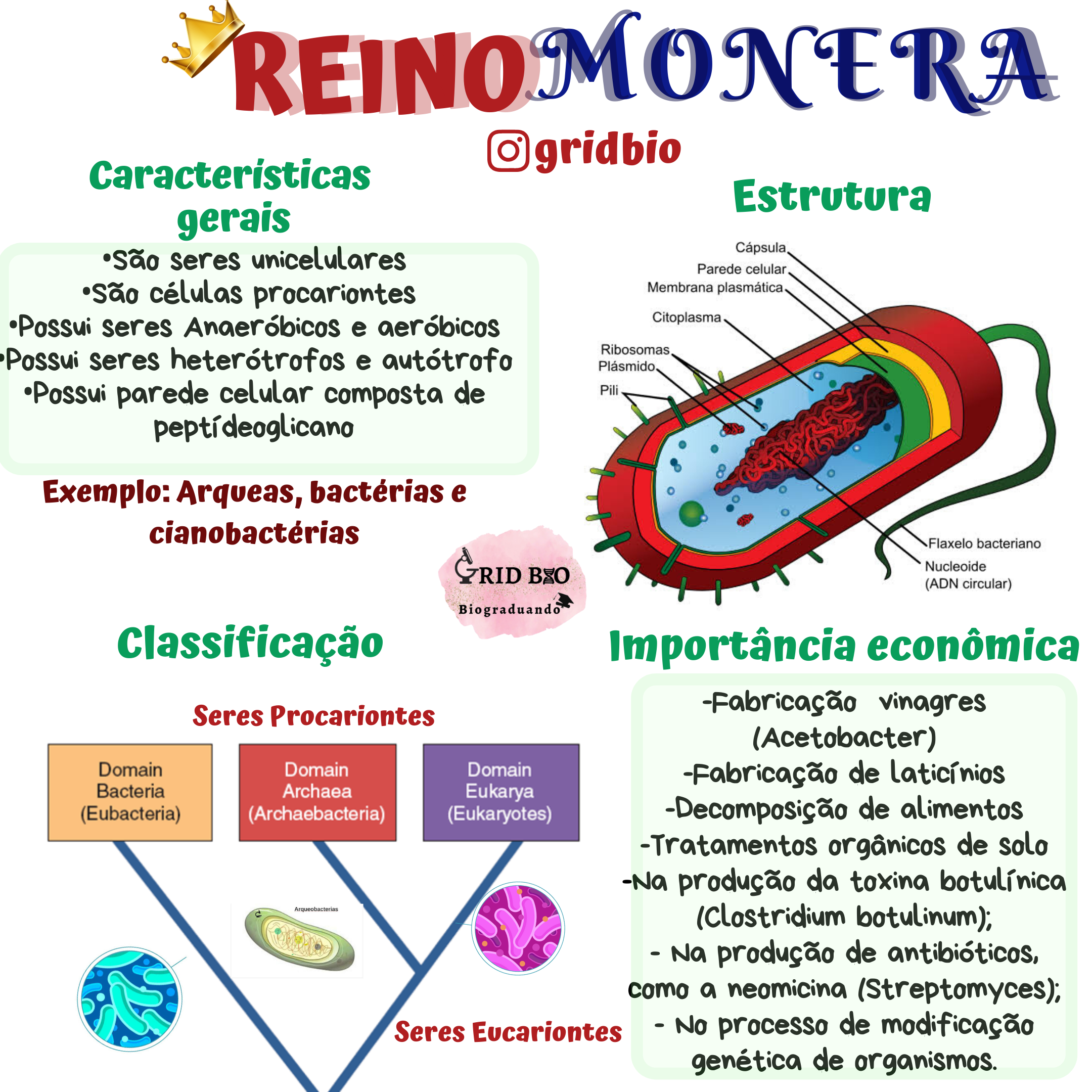 O que é Direito Econômico? O que é Direito Econômico?