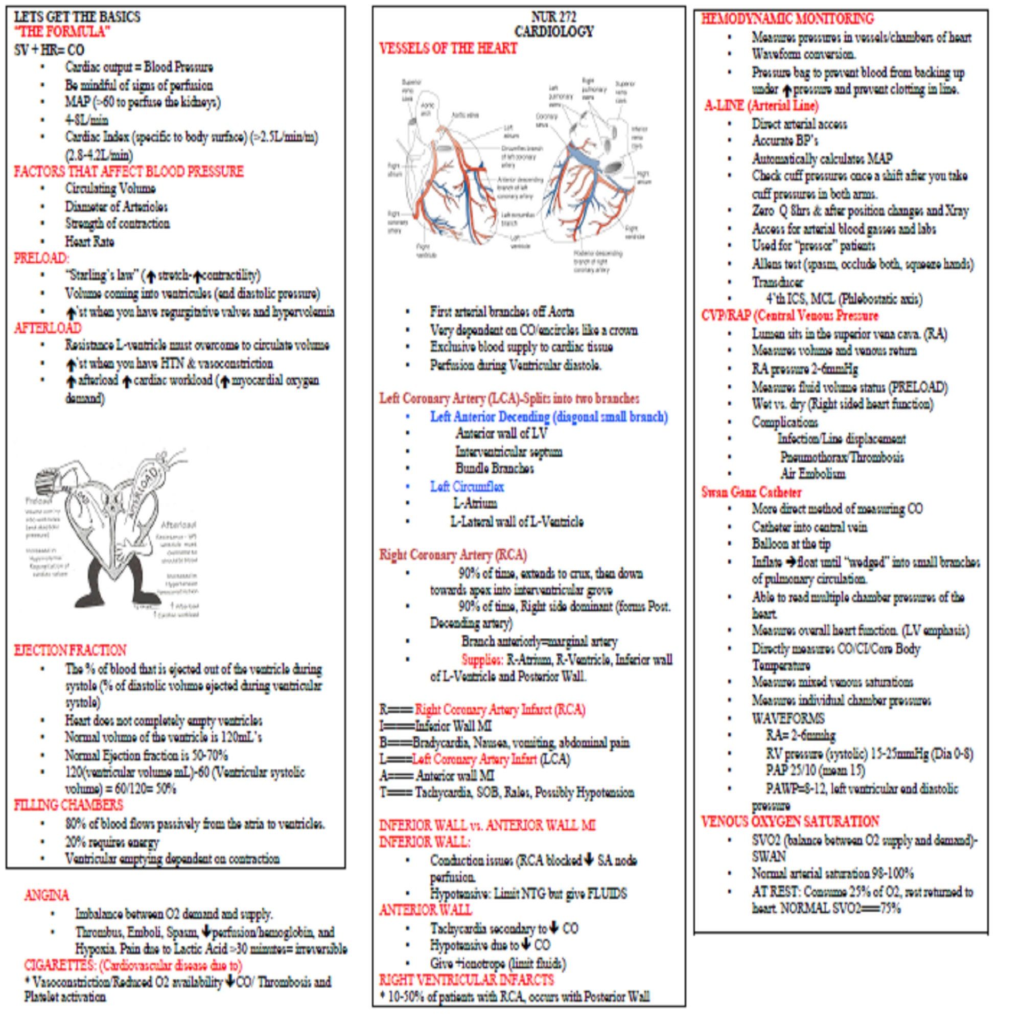 Full cardiology nursing study guide review with BONUS file - 13 sinus rhythm and dysrhythmias 14 pages Cardiology Nursing, Cardiac Nursing, Nursing Study Guide, Nursing Tips, Nursing Cheat Sheet, Cardiac Rhythms, Nursing School Notes, Medical School, Nurse Practitioner School
