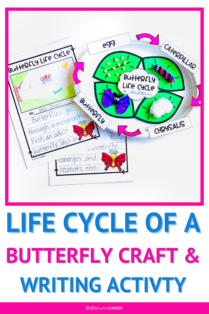 Are you learning about the life cycle of a butterfly? This butterfly life cycle craft and writing paper are perfect for science and writing. Use this spring craft for a life cycle of a butterfly bulletin board. Students get to create a butterfly craft that helps them understand the life cycle of a butterfly. This life cycle activity incorporates informational writing when students write out the steps of the life cycle. Enjoy this spring activity with your elementary students.