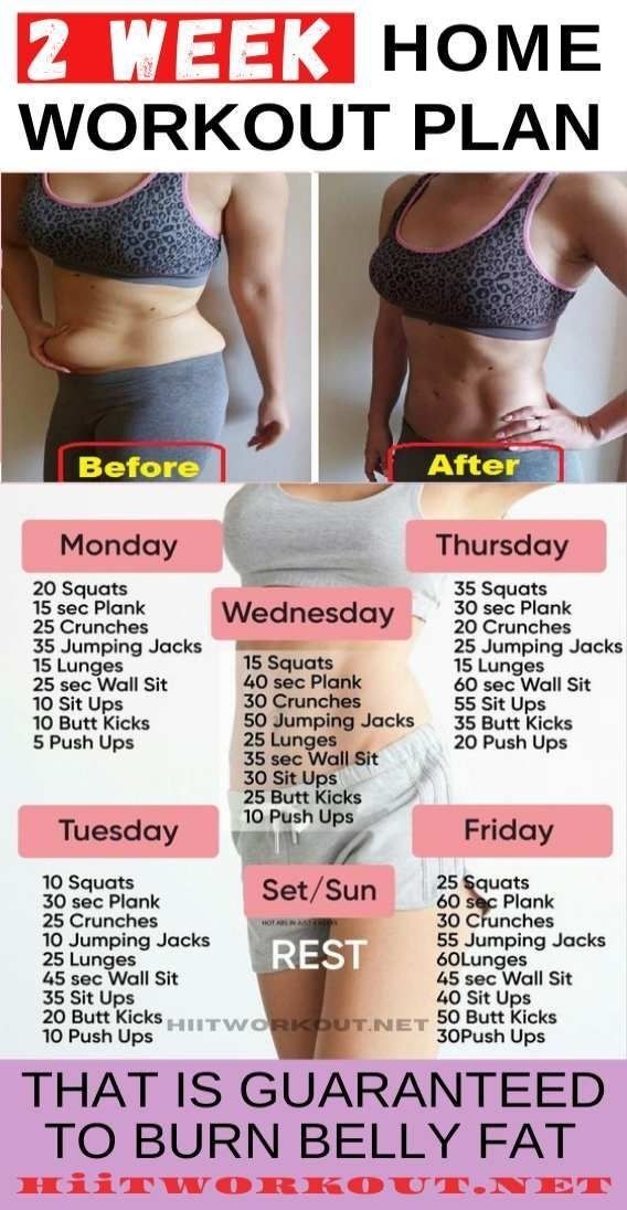 Weight Lose And Daily Life ! - How To Lose Weight in Real ! by Andrew Stockes | This newsletter was created with Smore, an online tool for creating beautiful newsletters for educators, nonprofits, businesses and more 2 Week Workout Plan, Weekly Workout Plans, At Home Workout Plan, Weight Loss Workout Plan, At Home Workouts, 2 Week Weight Loss Plan, 2week Workout Challenges, 2 Week Diet Plan, Weight Training