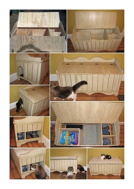 hidden cat food bowls