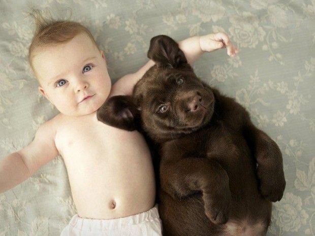 33 Cute Pictures Of Puppies And Babies Being Super Cute Baby