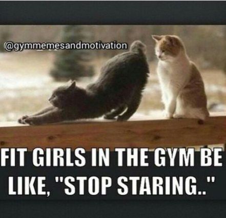 Trendy fitness motivacin memes inspiration funny humor ideas #funny #fitness