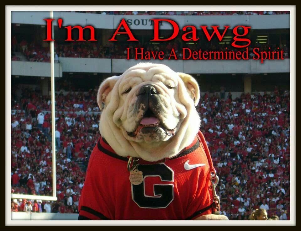 Georgia Bulldawgs Georgia Dawgs Georgia Bulldogs Football