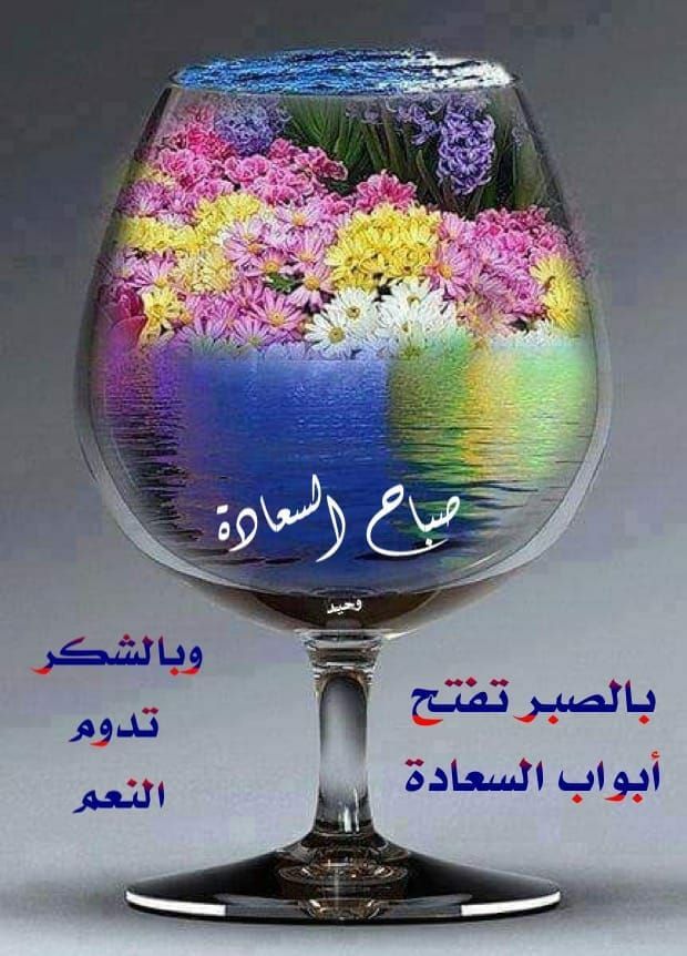 صباح السعاده Beautiful Flowers Garden Glassware Glass
