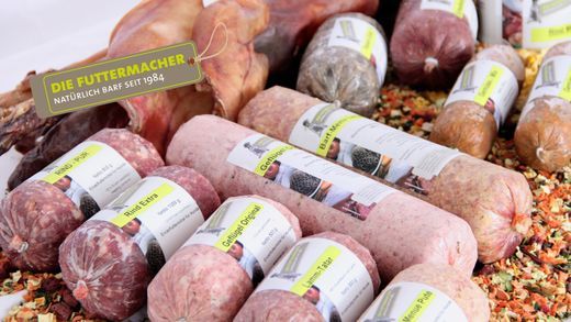 Kennenlernen katze hund