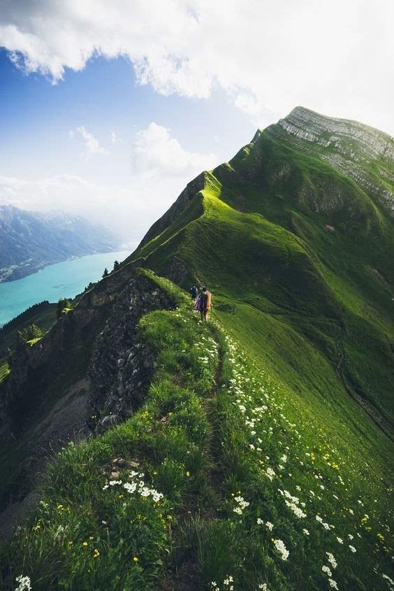 The 10 Best Hikes in Switzerland | alexandra taylor #travel
