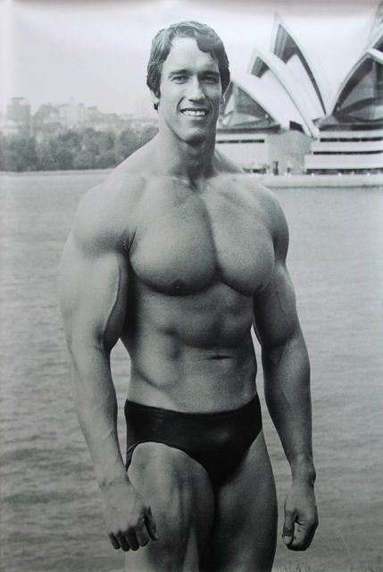 arnold schwarzeneggers 1974 visit to sydney hollywood pinterest arnold schwarzenegger size