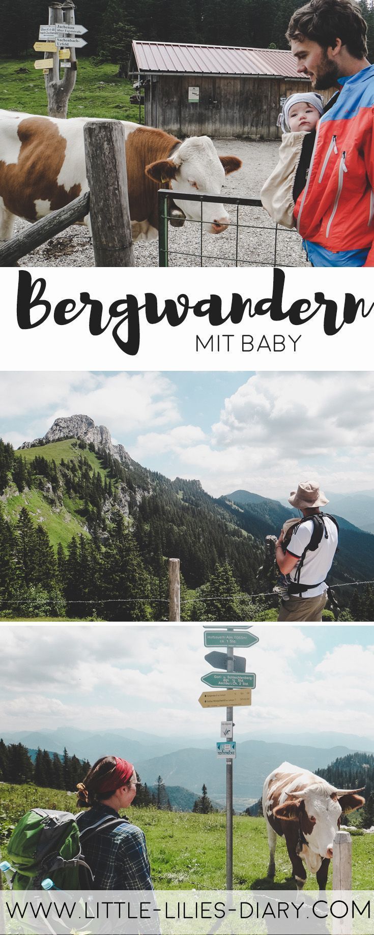 Single urlaub österreich wandern