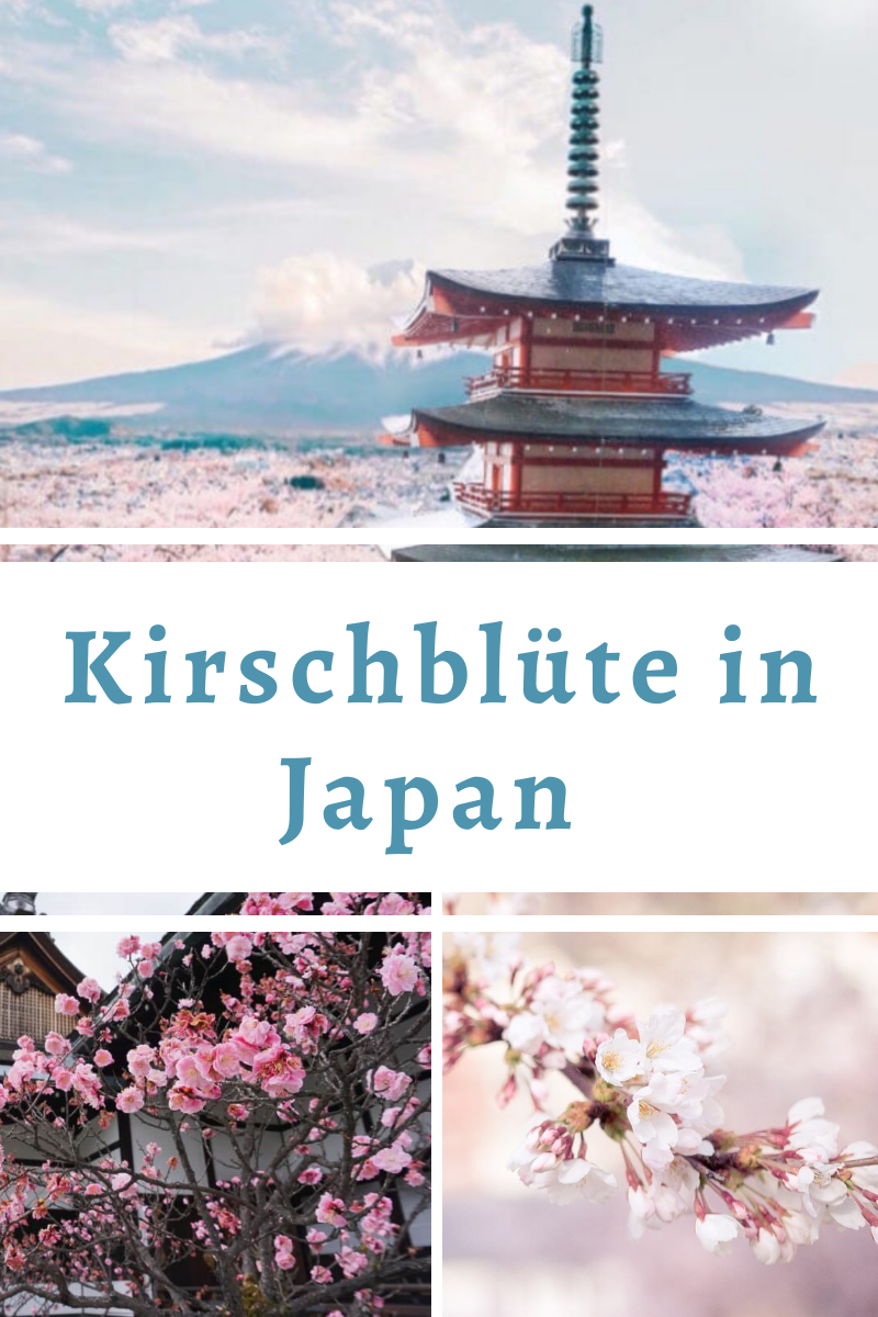 Beste Reisezeit Fr Japan Reise Meine Erfahrung Zur Beste Reisezeit Fr Japan Reise Meine Erfahrung Zur