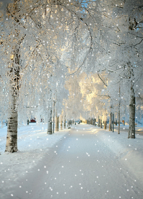 Pin by Wendy Douglass on Art | Winter scenes, Winter landscape, Winter pictures