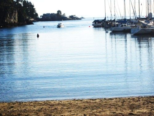 Eagle Harbour Beach I Used To Go There Almost Every Week When I Lived In West Van Harbor Beach Adventure Planning Beach