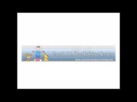Easy Diy Dog Training Secrets Review Http Getdogtrainingtips Com