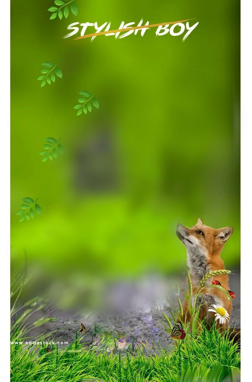 Editors hd cb editing background Free Background Photos, Background Images For Quotes, Photography Studio Background, Studio Background Images, Background Wallpaper For Photoshop, Photo Background Editor, Simple Background Images, Editing Background, Picsart Background