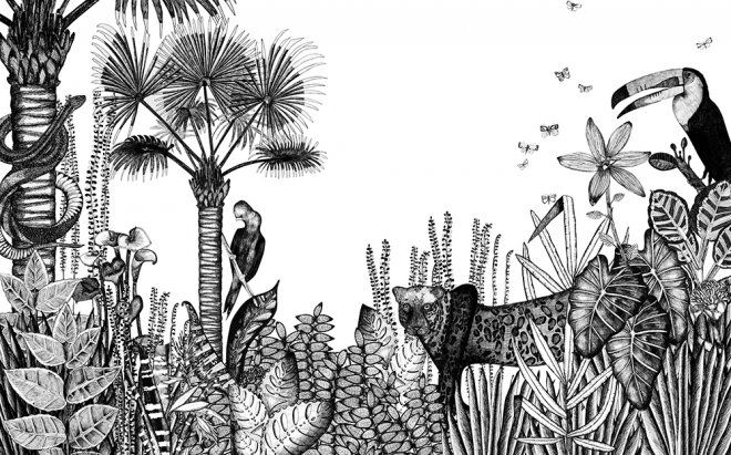 Gratuit Images Exotisme En Noir Et Blanc En 2019 Papier Peint Jungle Papier dernière par