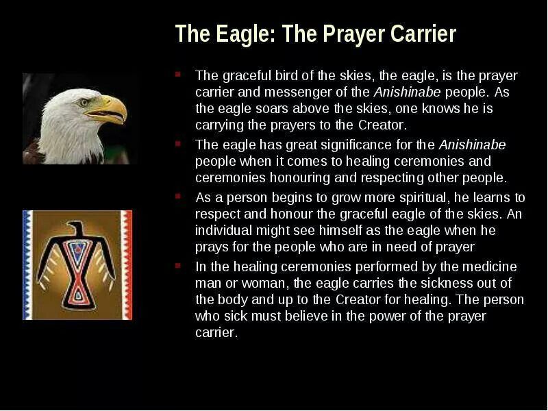 The Prayer Eagle