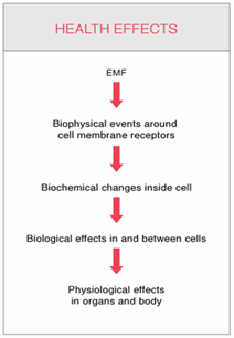 Health Effects From Emfs Electromagnetic Radiation On People Health Effects From Emfs Electromagnetic Radiation On People Everyday Electronics