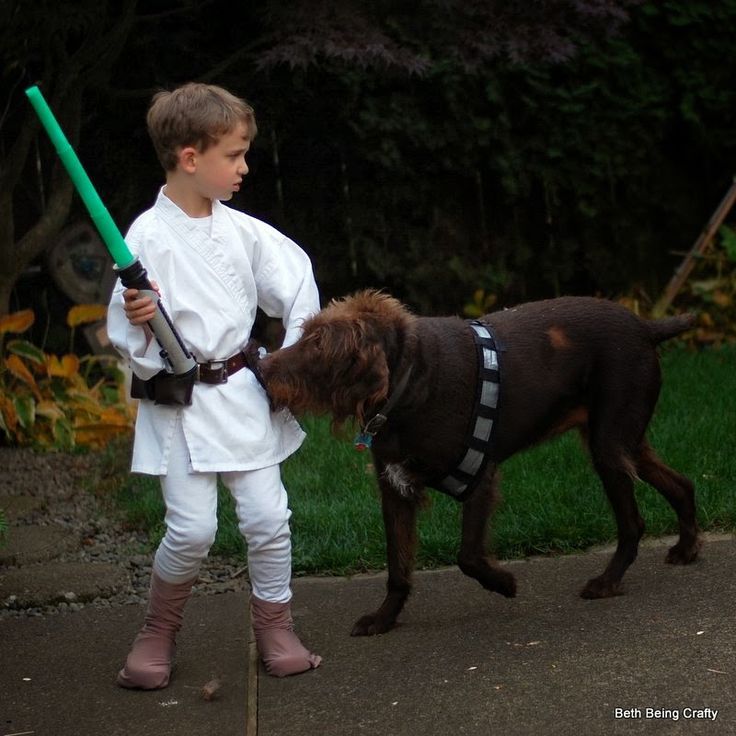 Diy Chewbacca Bandolier Google Search Star Wars Family